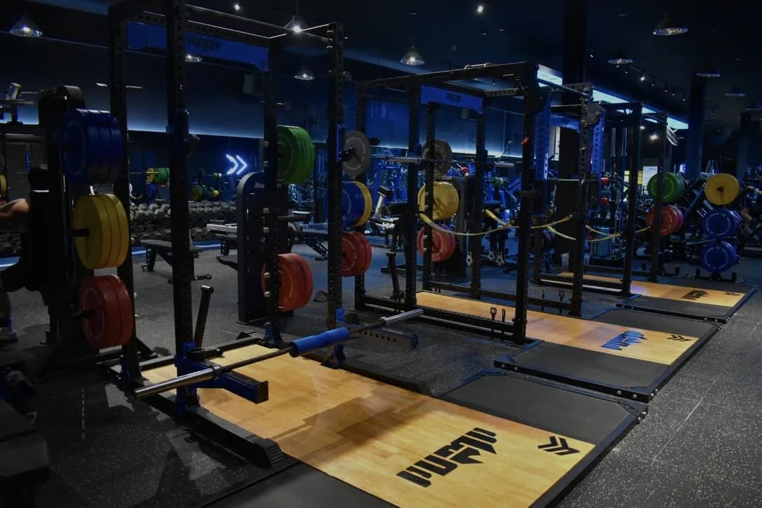 Gym interior with multiple squat racks, colored weight plates, and branded lifting platforms under blue lighting.