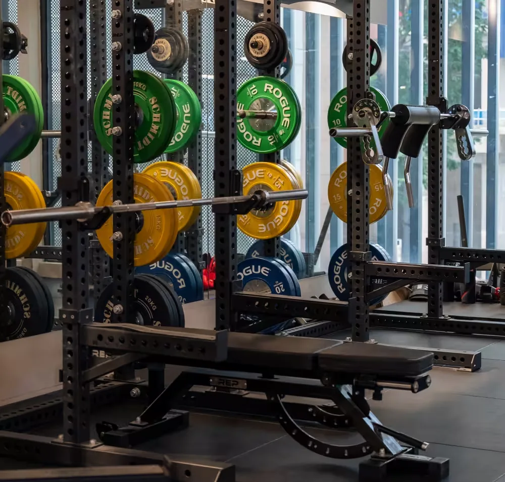 Squat racks with loaded barbells and colored weight plates in a bright gym studio.