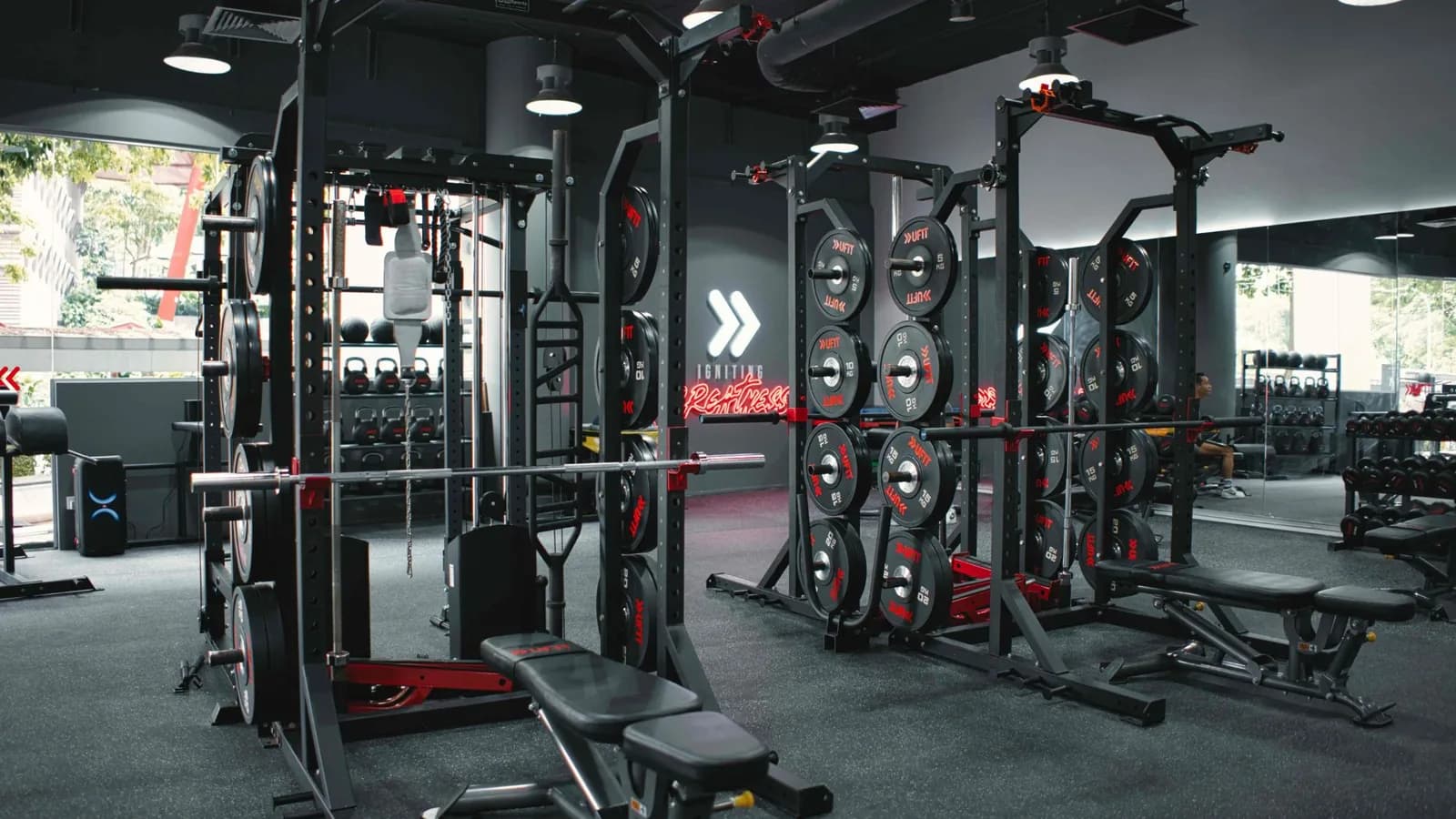 Contemporary gym space with extensive strength training equipment and organized weight plates