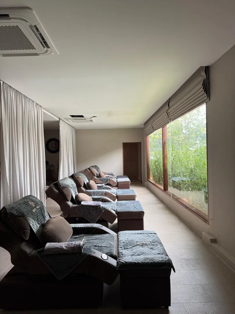 Spa treatment room with recliners in a row facing windows with garden views