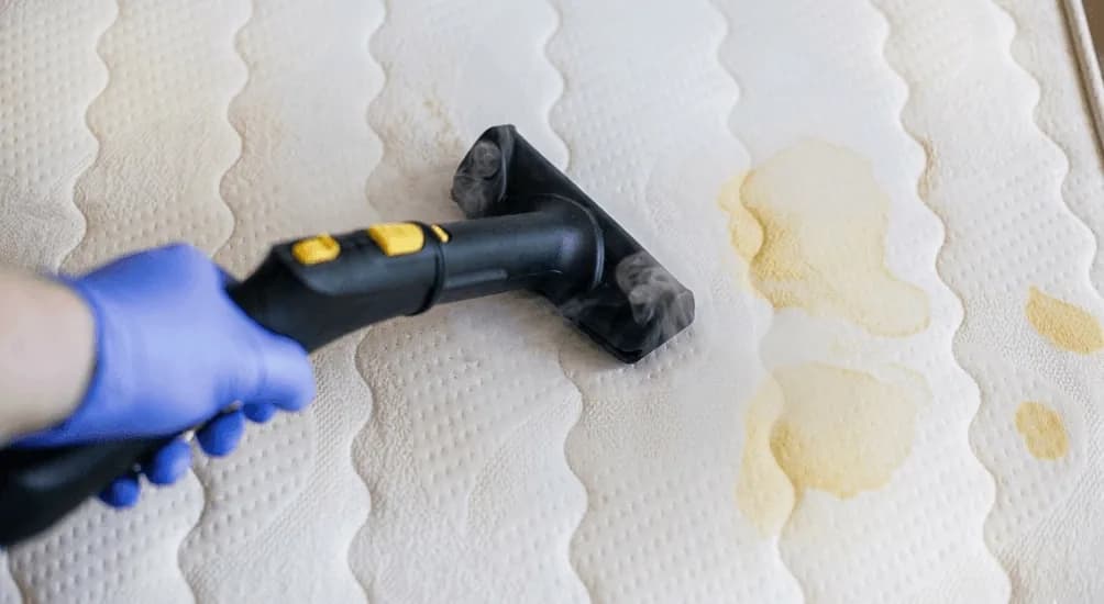 Worker in blue gloves steam cleaning stains from white quilted mattress
