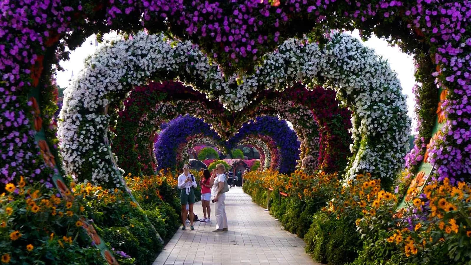 Heart-shaped flower tunnel with white, purple and gold blooms at Dubai Miracle Garden