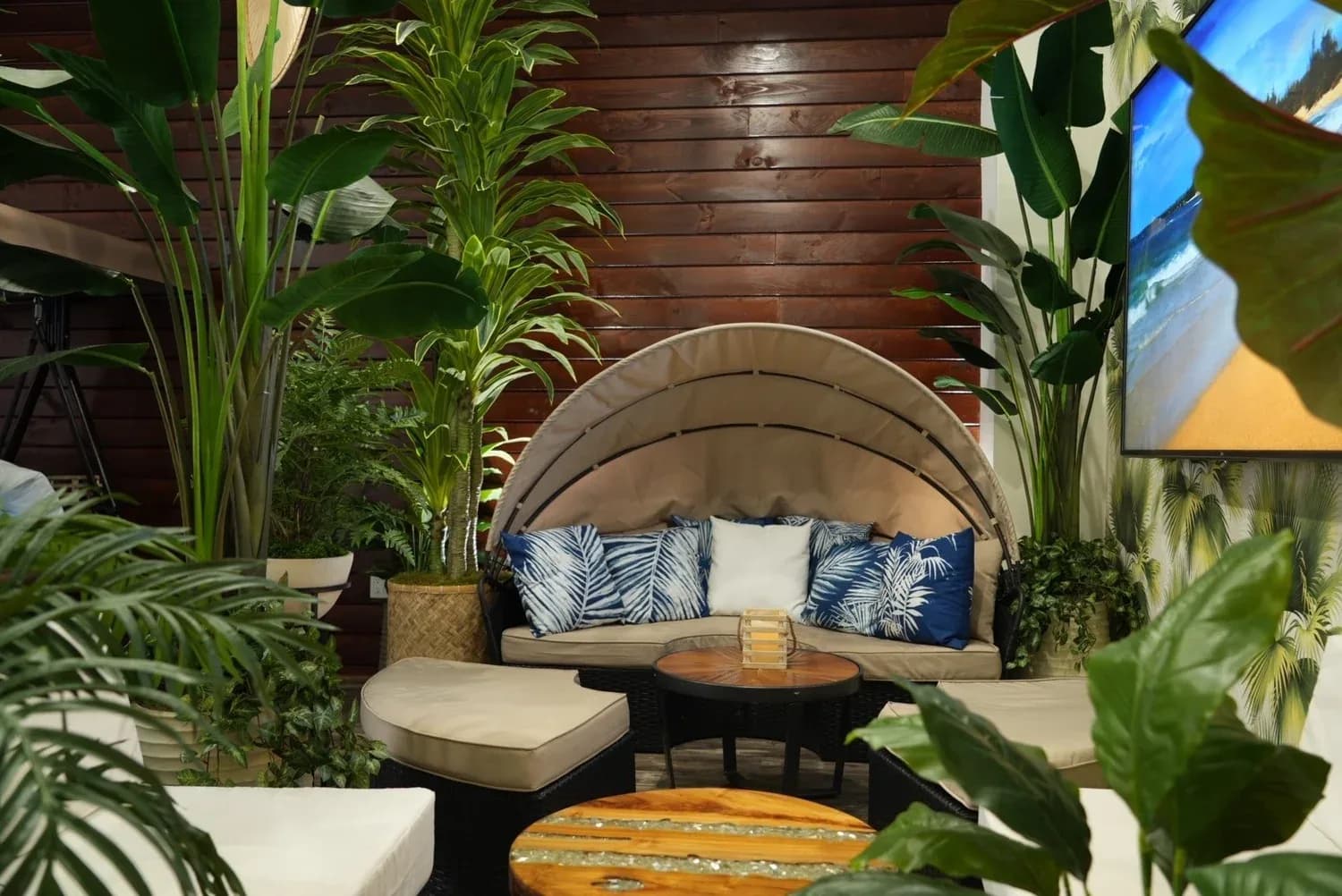 Spa lounge with daybed canopy, tropical plants, and modern decor