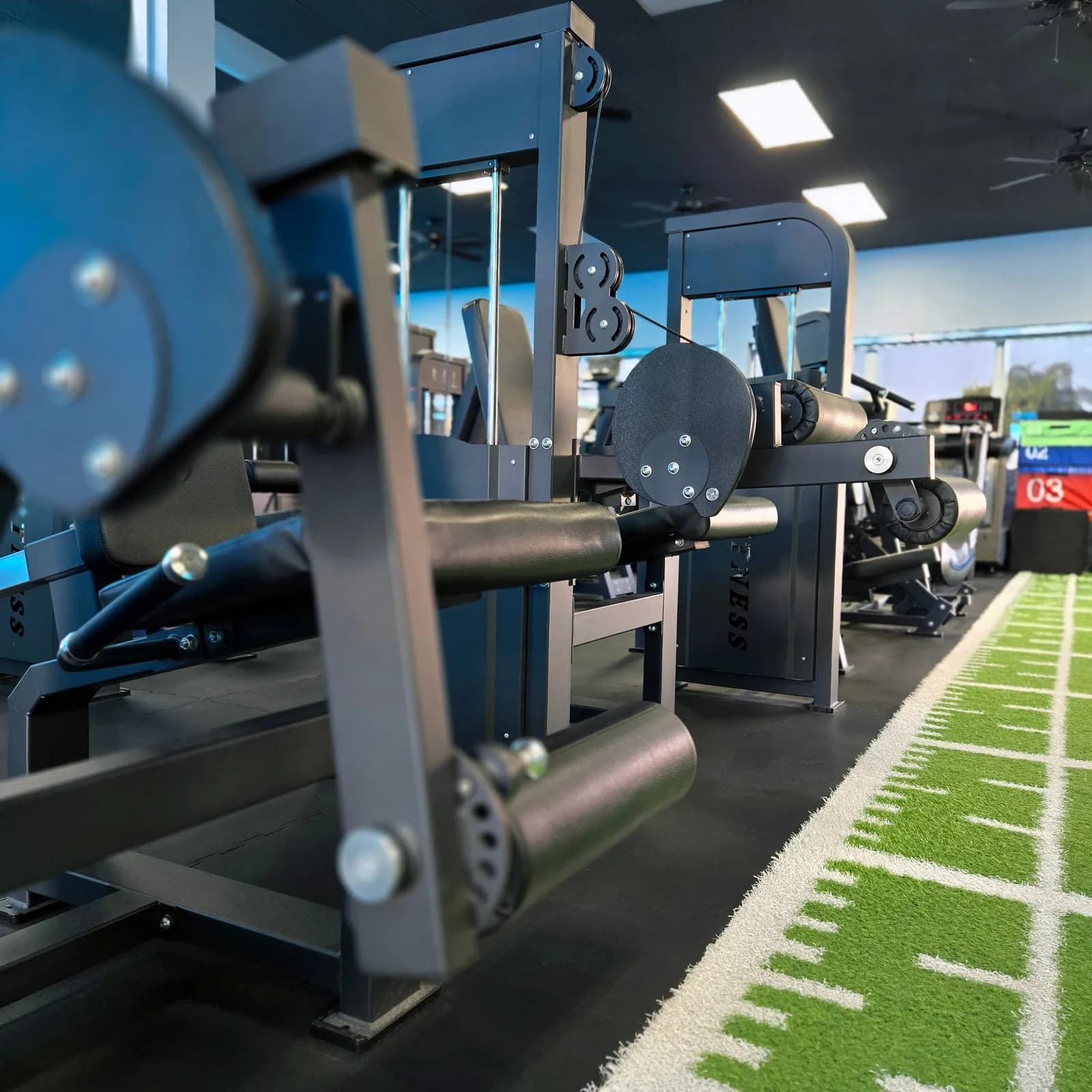 Modern gym with blue and black strength training machines and artificial turf training area