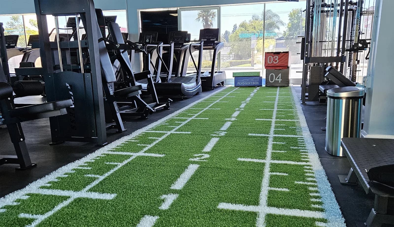 Gym interior with treadmills and exercise machines beside large windows overlooking the landscape, artificial turf flooring marked with white stripes