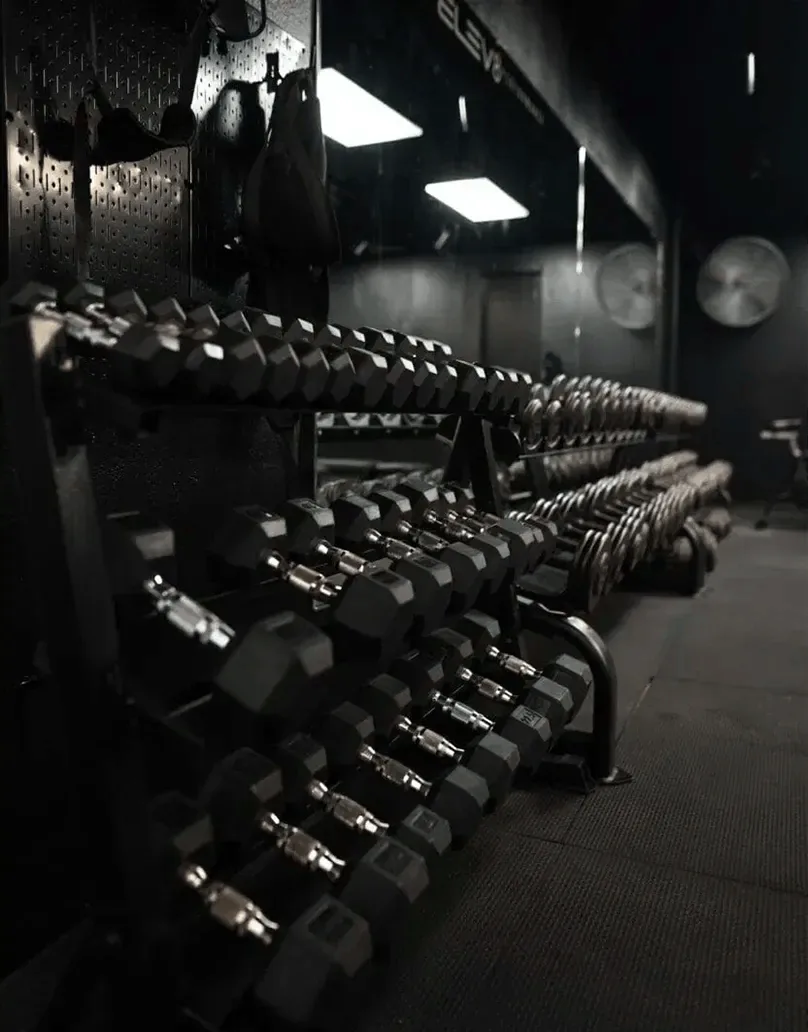 Organized dumbbell racks in a well-lit gym weight room with overhead lighting and equipment.