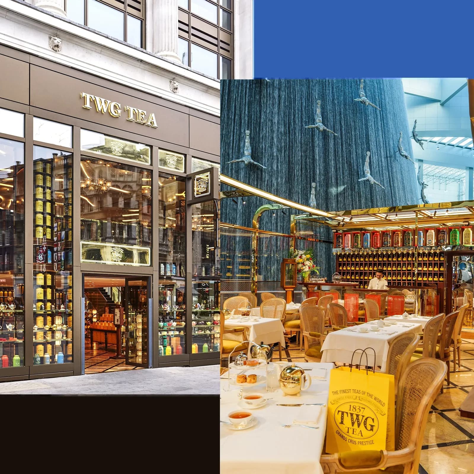 Upscale tea café interior with dining tables, luxury décor, and branded tea product shelving