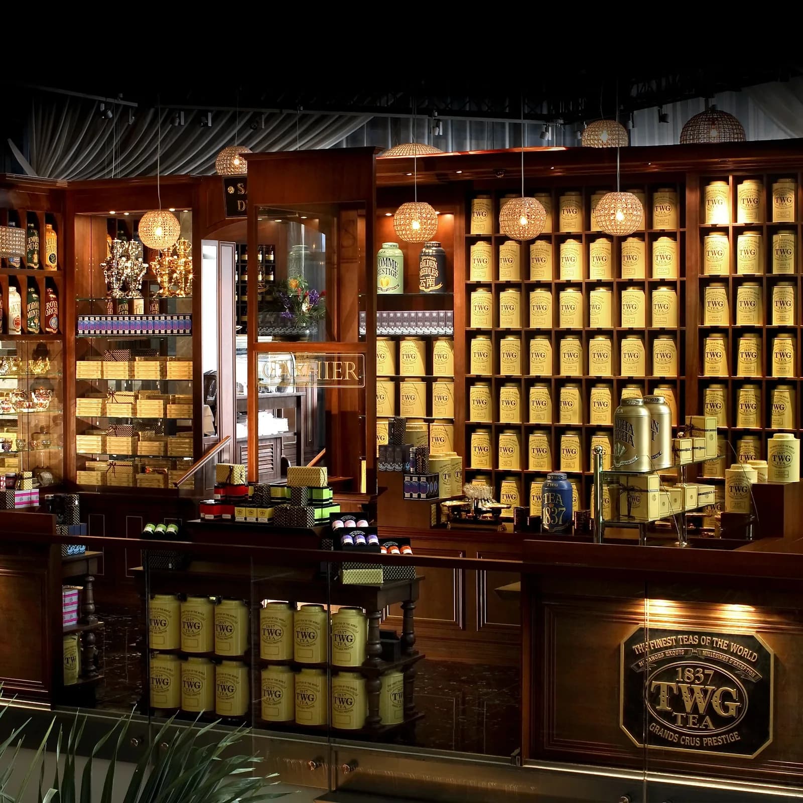 TWG Tea shop interior with wooden shelving displaying golden tea tins, woven hanging lights, and dark wood counter