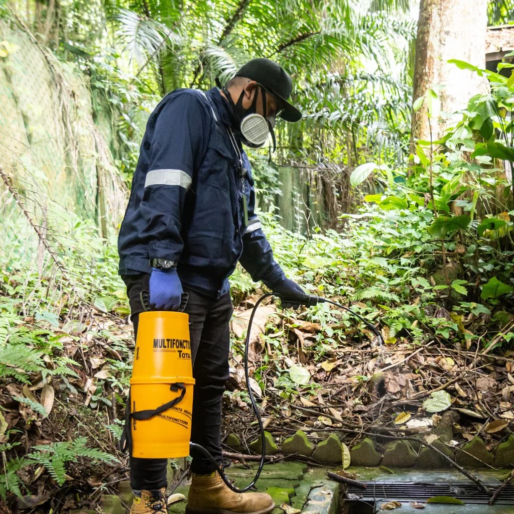 Pest control worker in protective gear spraying treatment in vegetated area