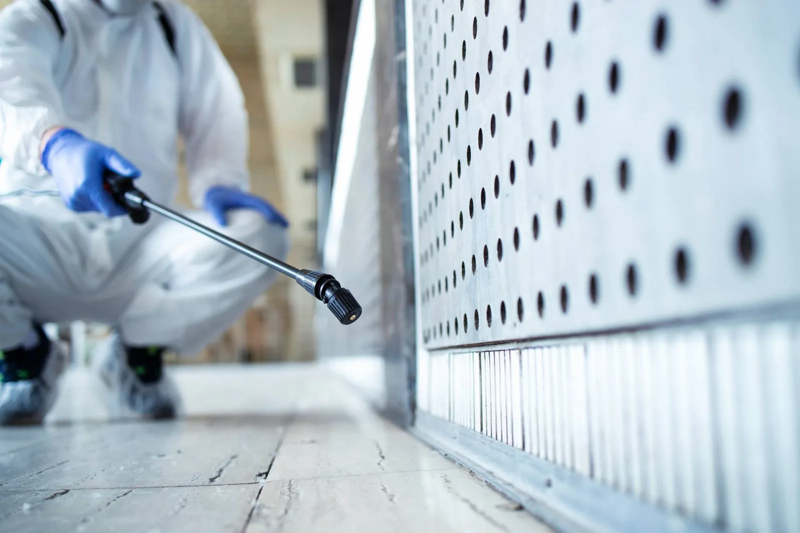 Pest control technician spraying treatment along wall baseboard indoors