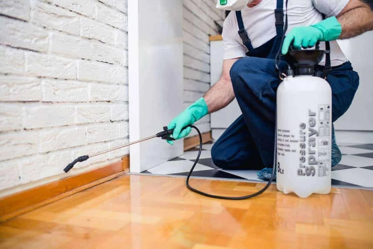 Pest control worker spraying treatment along baseboard with spray equipment