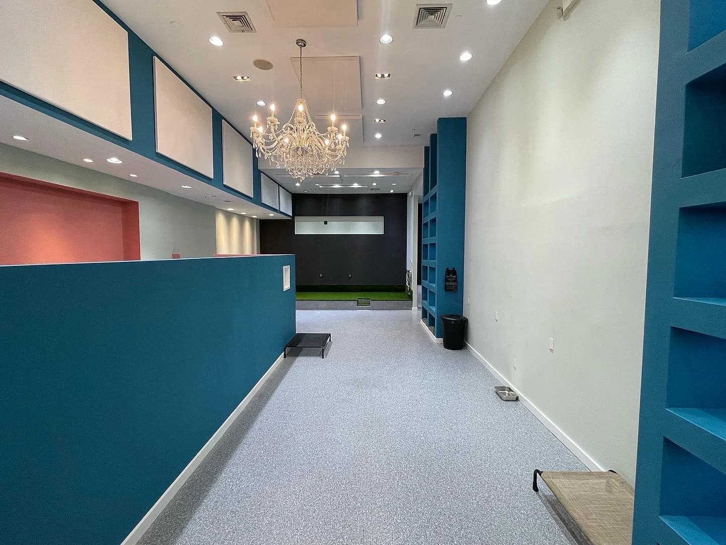 Modern pet boarding facility interior with teal walls, chandelier, and clean hallway