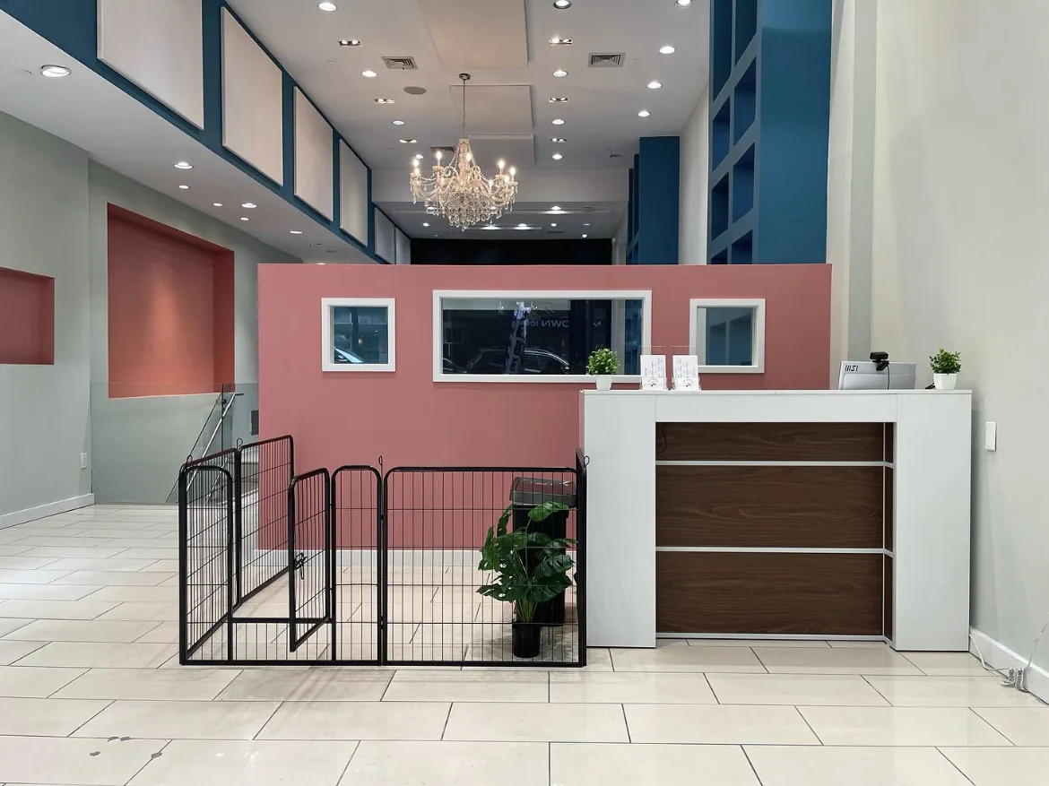 Modern pet boarding facility reception area with pink walls, professional lighting, and secure pet gate
