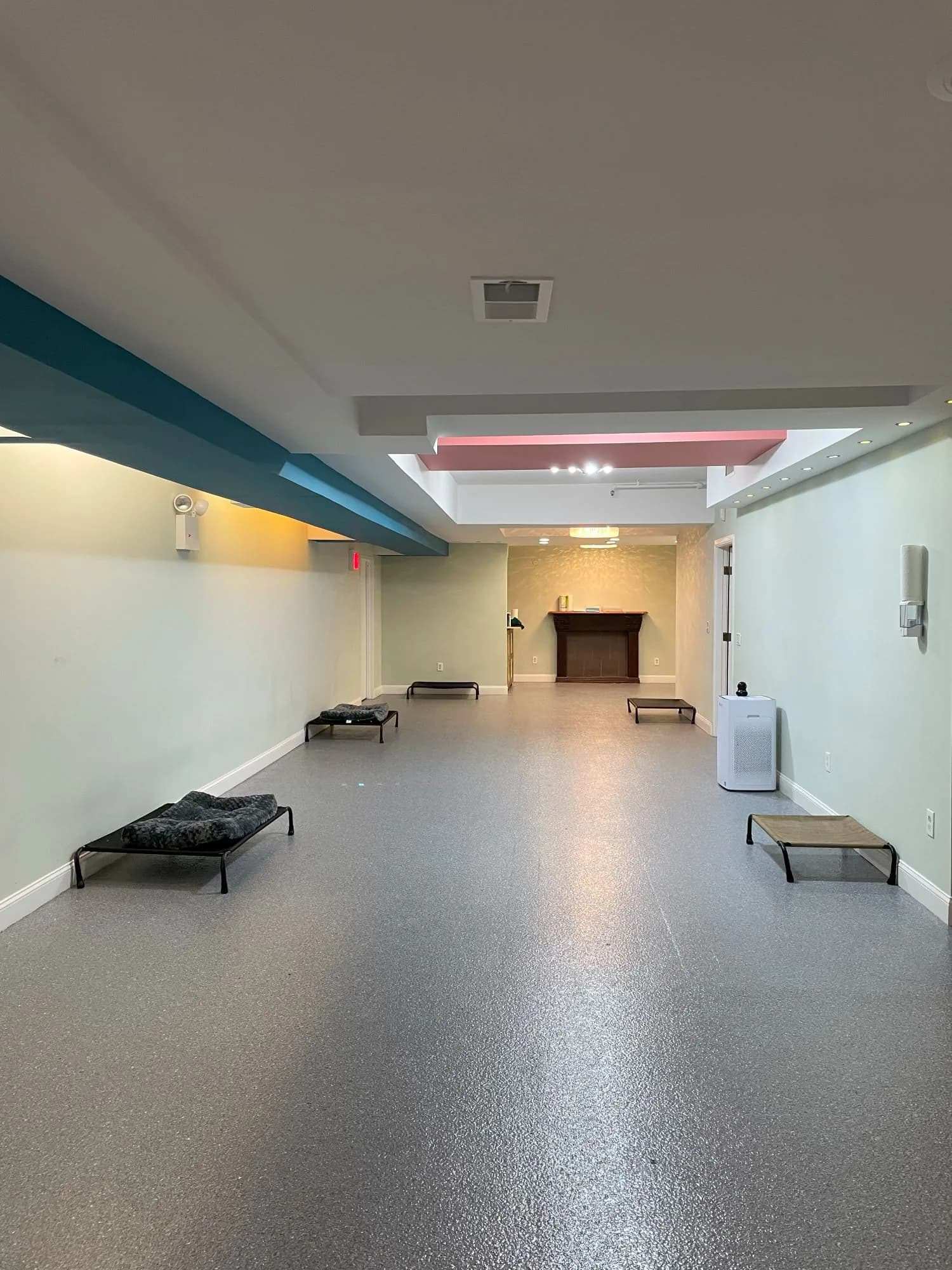 Bright pet boarding room with elevated platforms, modern lighting, and climate control