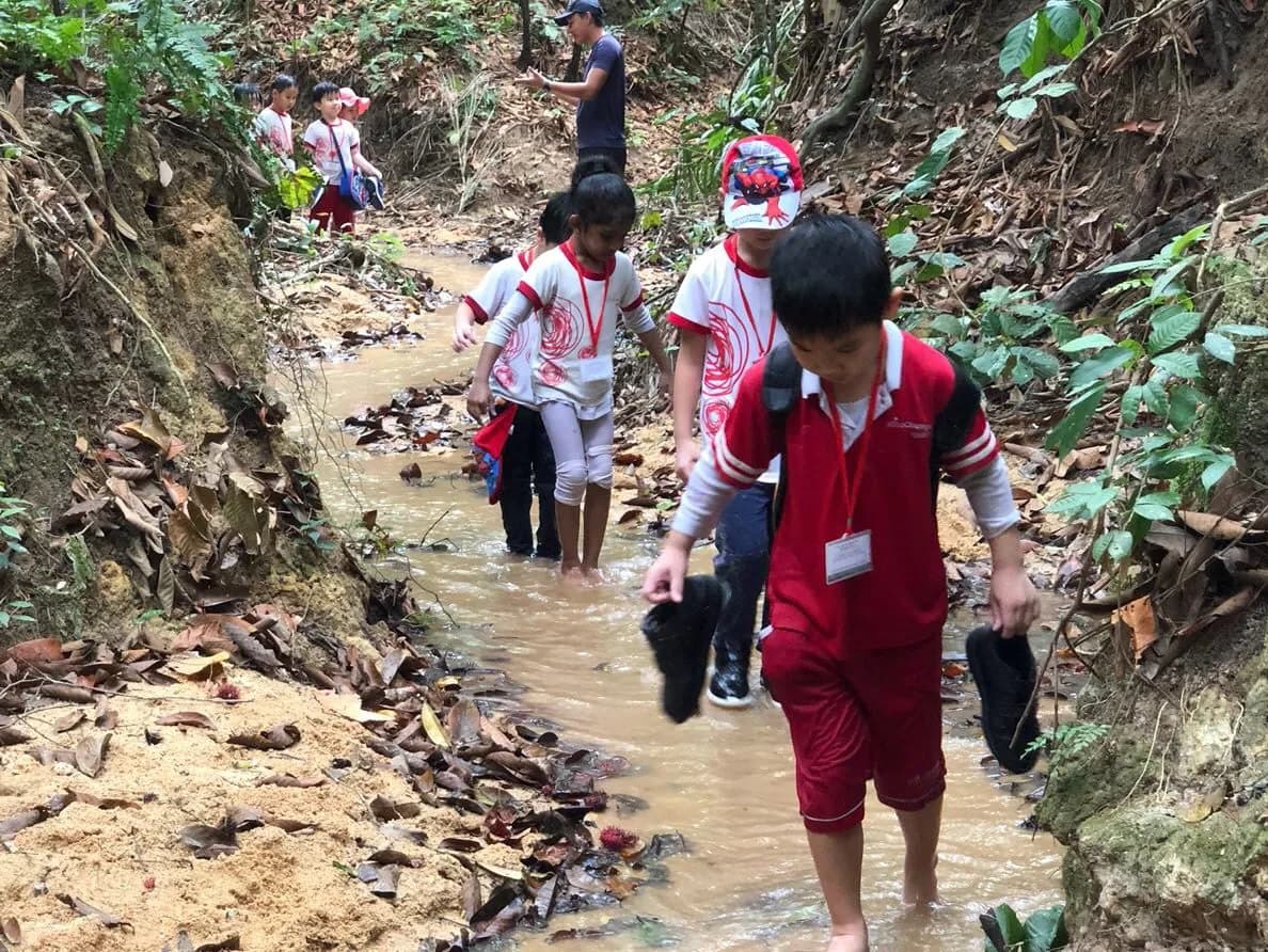 Teachers and children wading through a forest stream during an outdoor preschool activity
