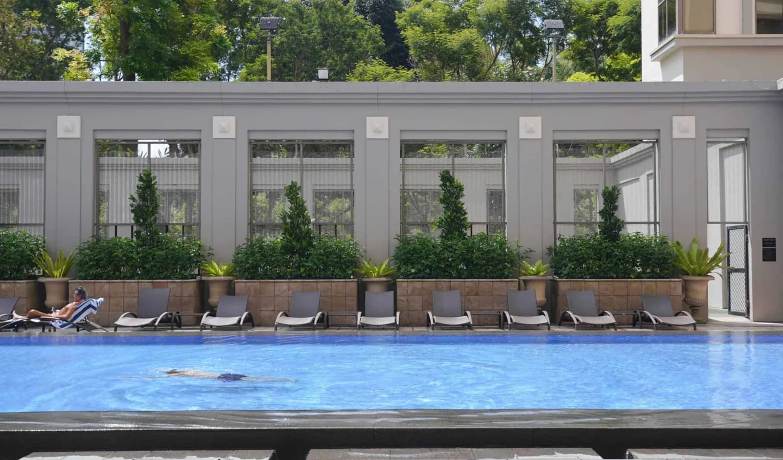 Hotel swimming pool with lounge chairs, topiary plants, and modern building facade