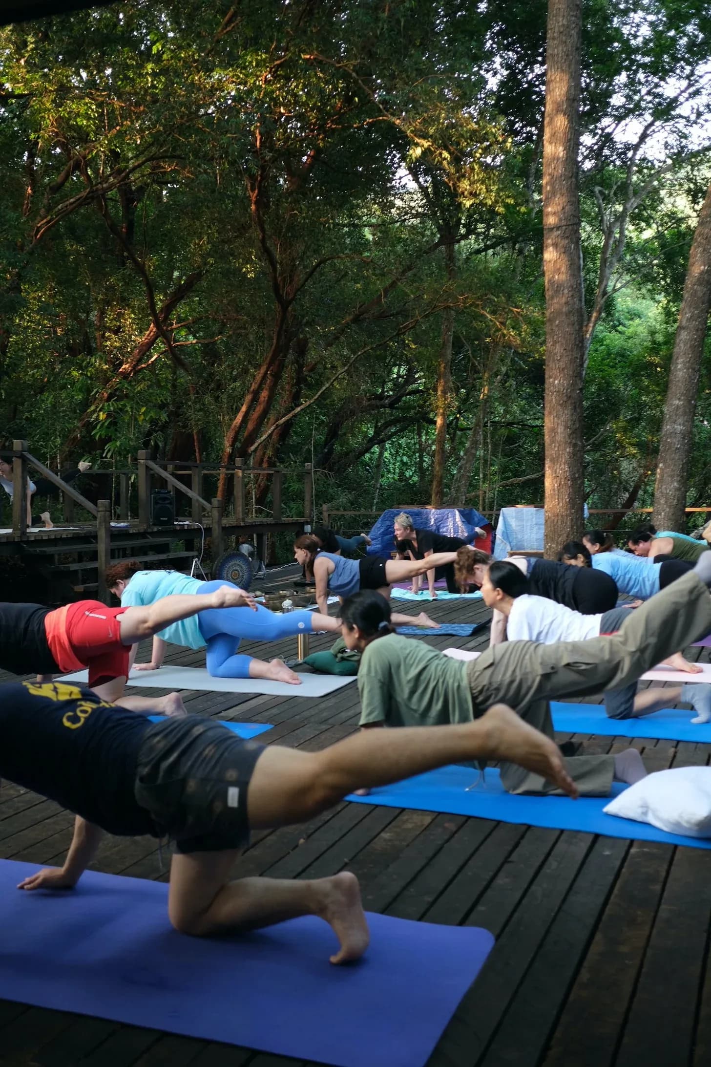Group yoga class on wooden deck among tropical trees at outdoor venue
