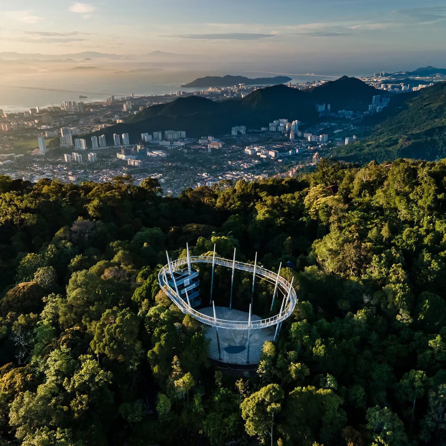 Curved canopy bridge winding through green forest treetops with coastal city and mountains in the distance