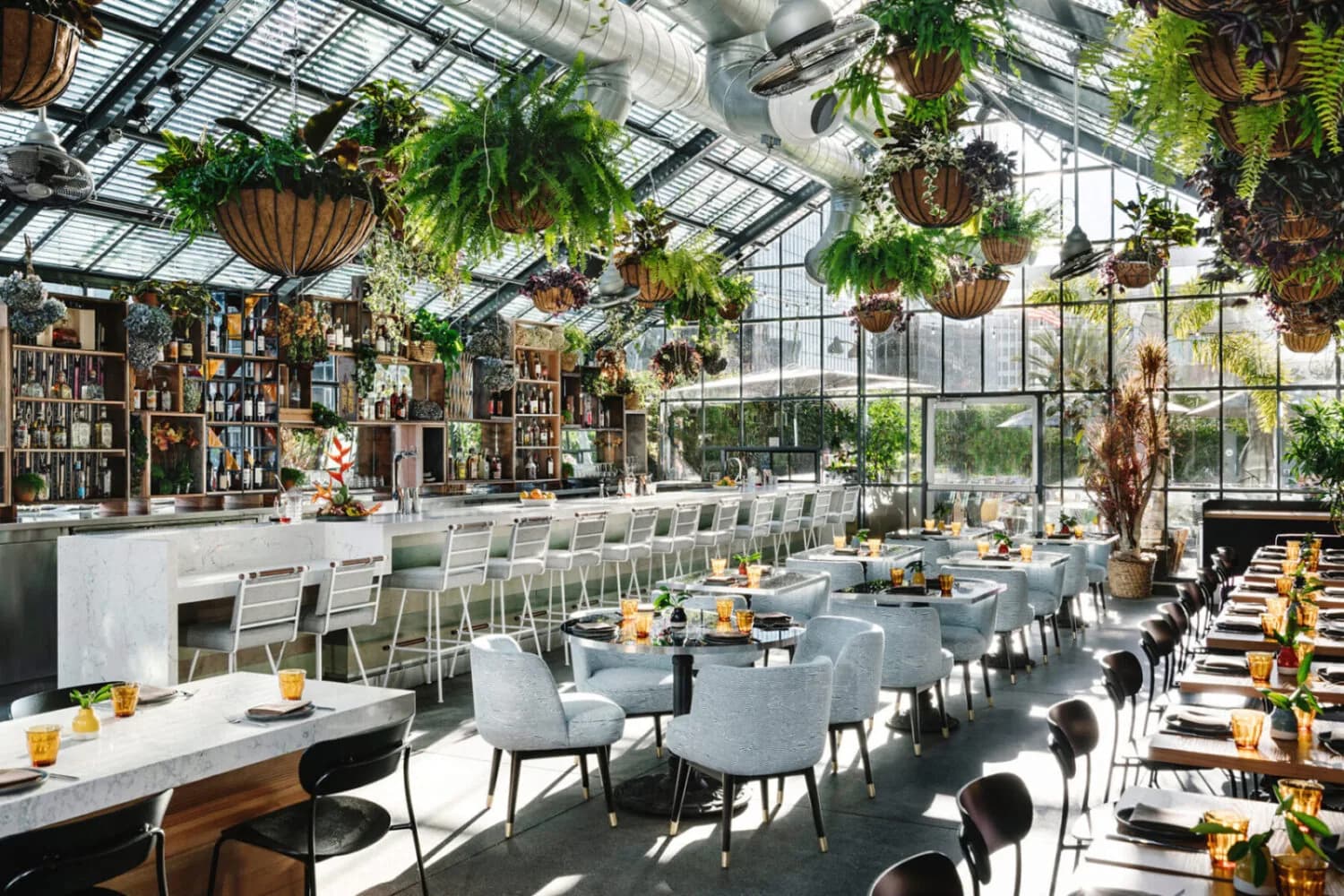 Greenhouse restaurant with hanging plants, dining tables, and bar beneath glass ceiling.