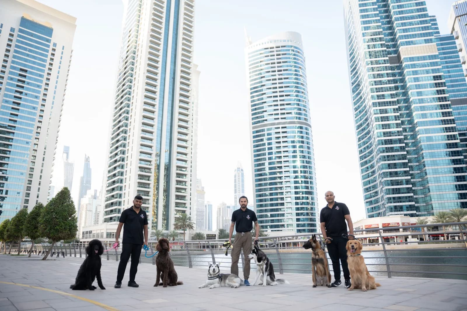 Pet care staff with dogs on a waterfront promenade in front of modern buildings