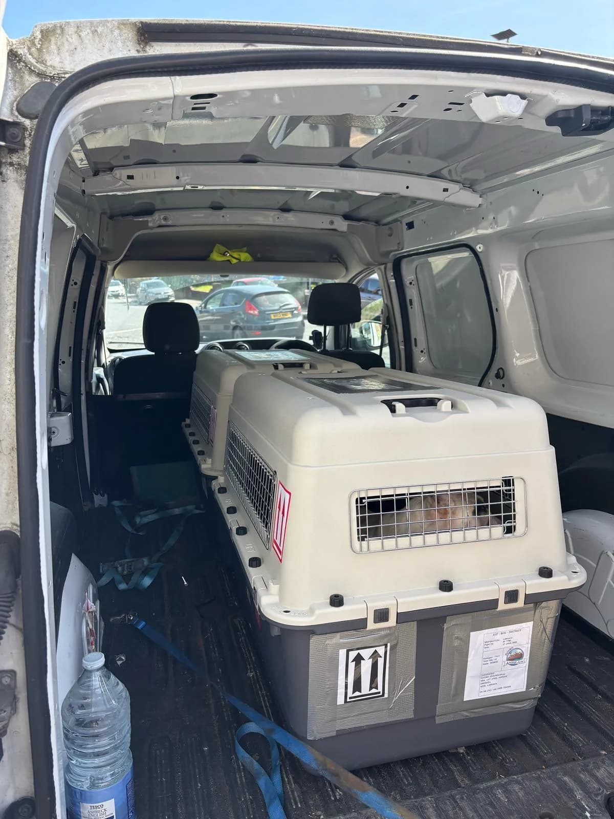 Pet carrier secured in white van interior with driver's cabin visible