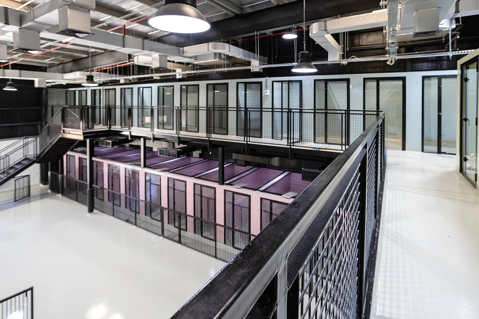 Modern pet boarding facility with multiple enclosed kennels, metal railings, and bright overhead lighting