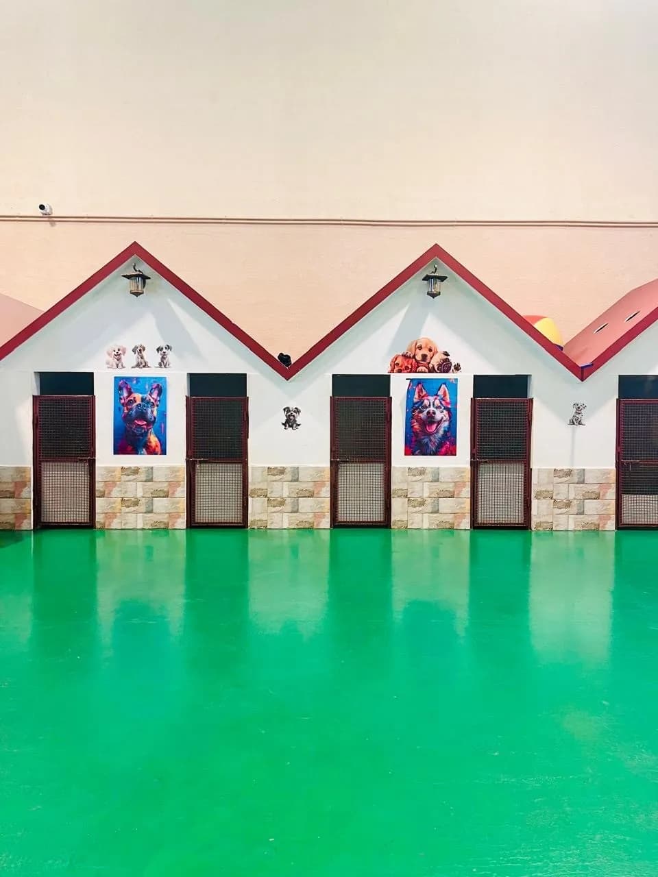 Row of white dog houses with red roofs and dog paintings, reflected in turquoise water