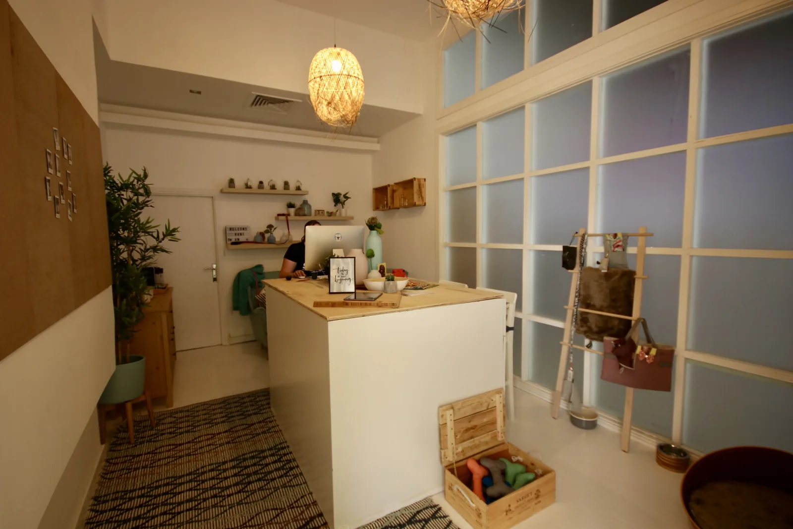 Bright pet boarding facility reception area with service counter, shelves, plants, and modern lighting.