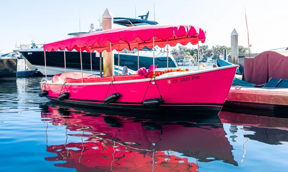 Bright pink party boat with red awning moored at a sunny marina, reflecting in calm blue water.
