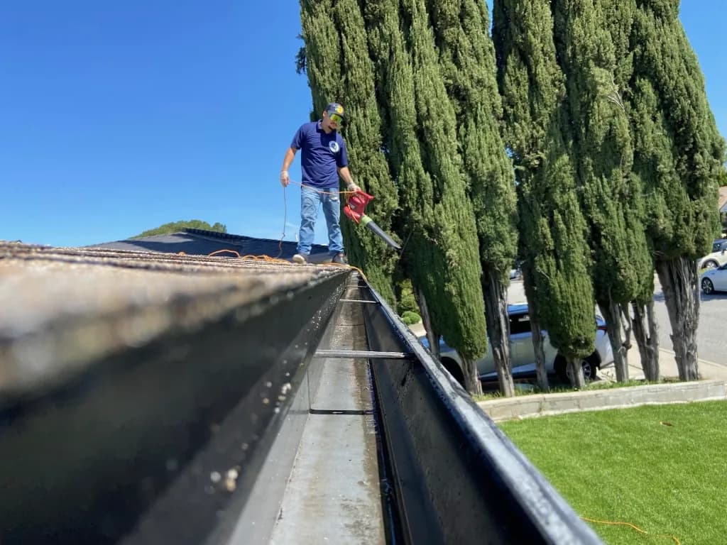 Technician cleaning gutters on a roof edge with tall cypress trees nearby