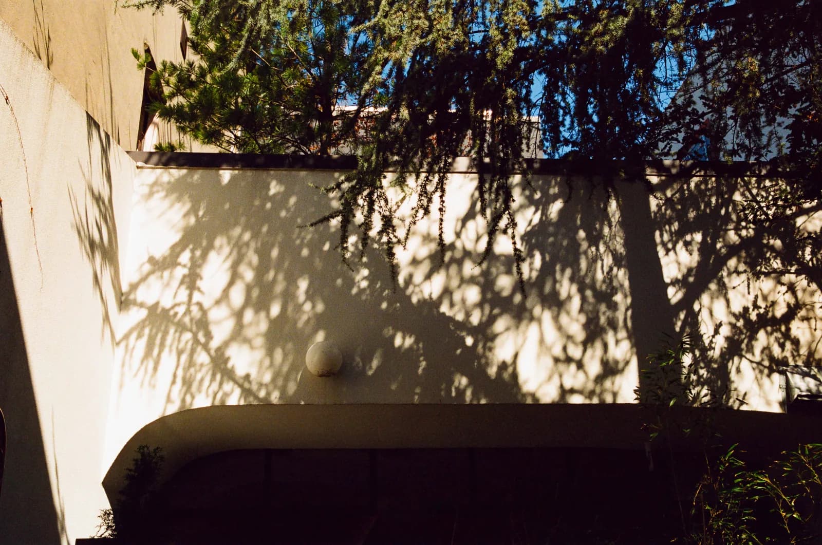 Wooden soaking tub in a shaded garden area with cascading vines and tree branches overhead