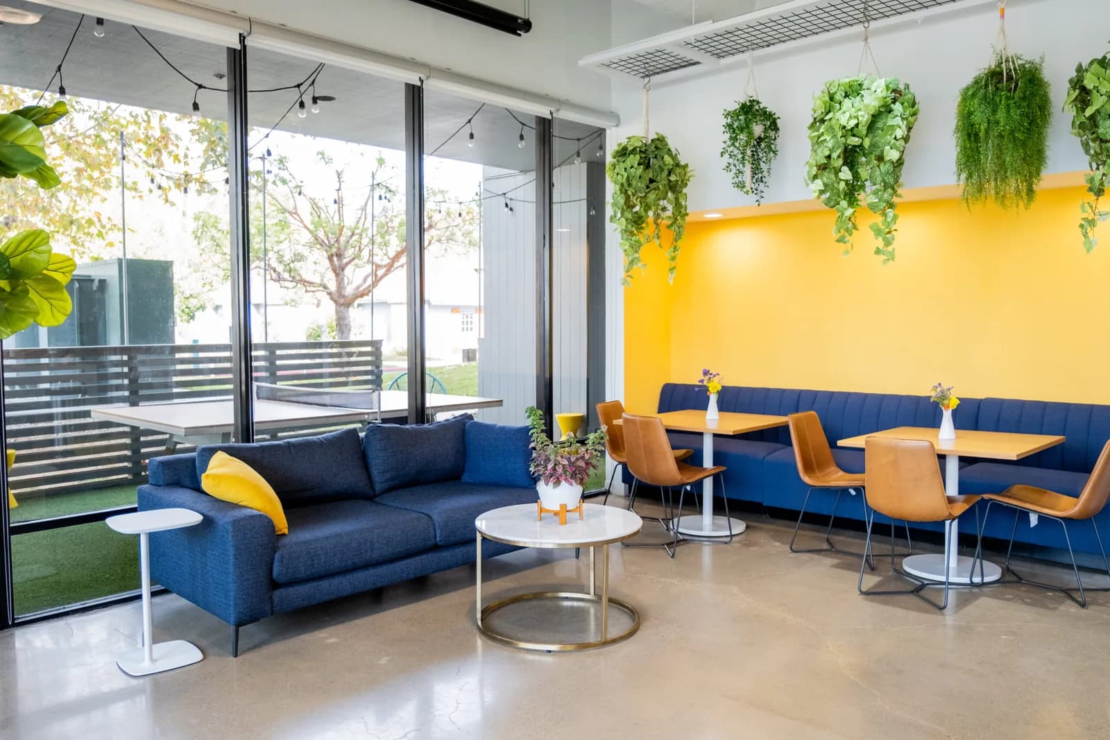Modern event venue lounge with blue seating, yellow wall, and abundant natural light from large windows