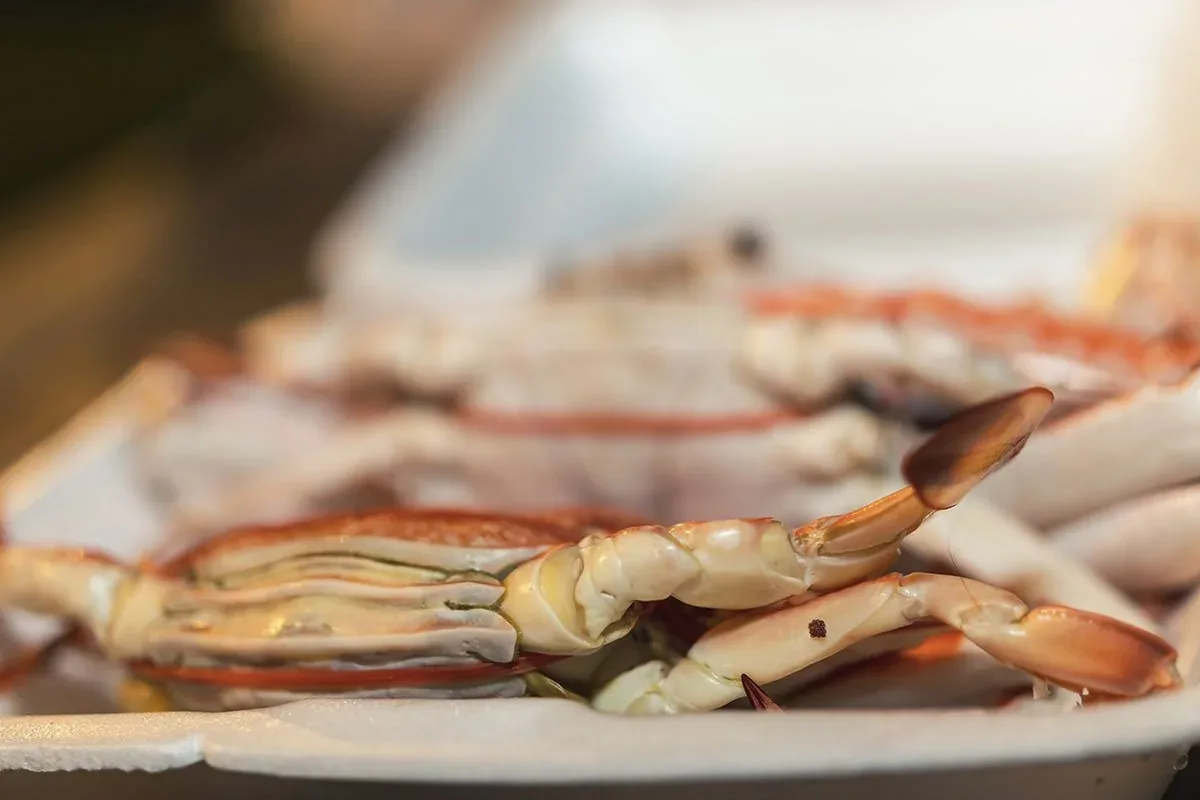 Cooked crabs on a white plate with detailed view of claws and shell