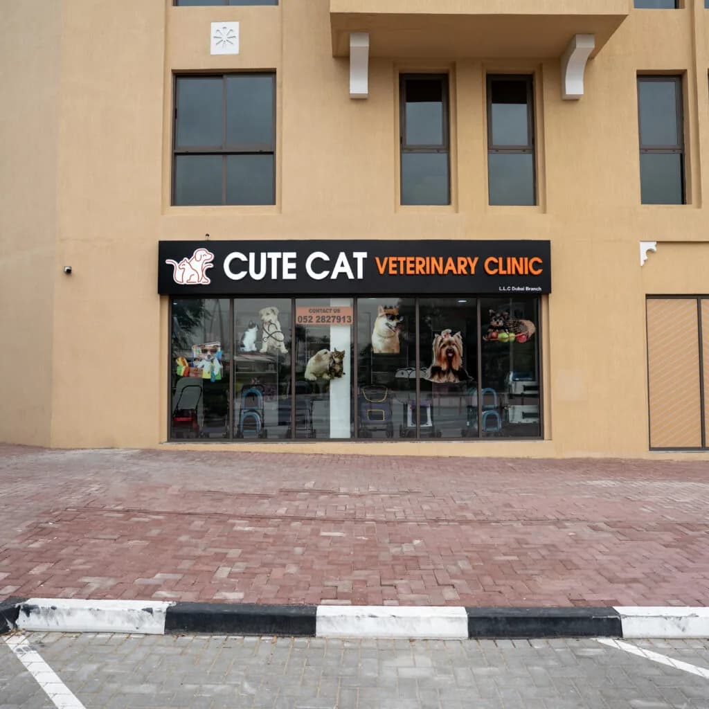 Cute Cat Veterinary Clinic storefront with black signage and large windows displaying the clinic name and pet images