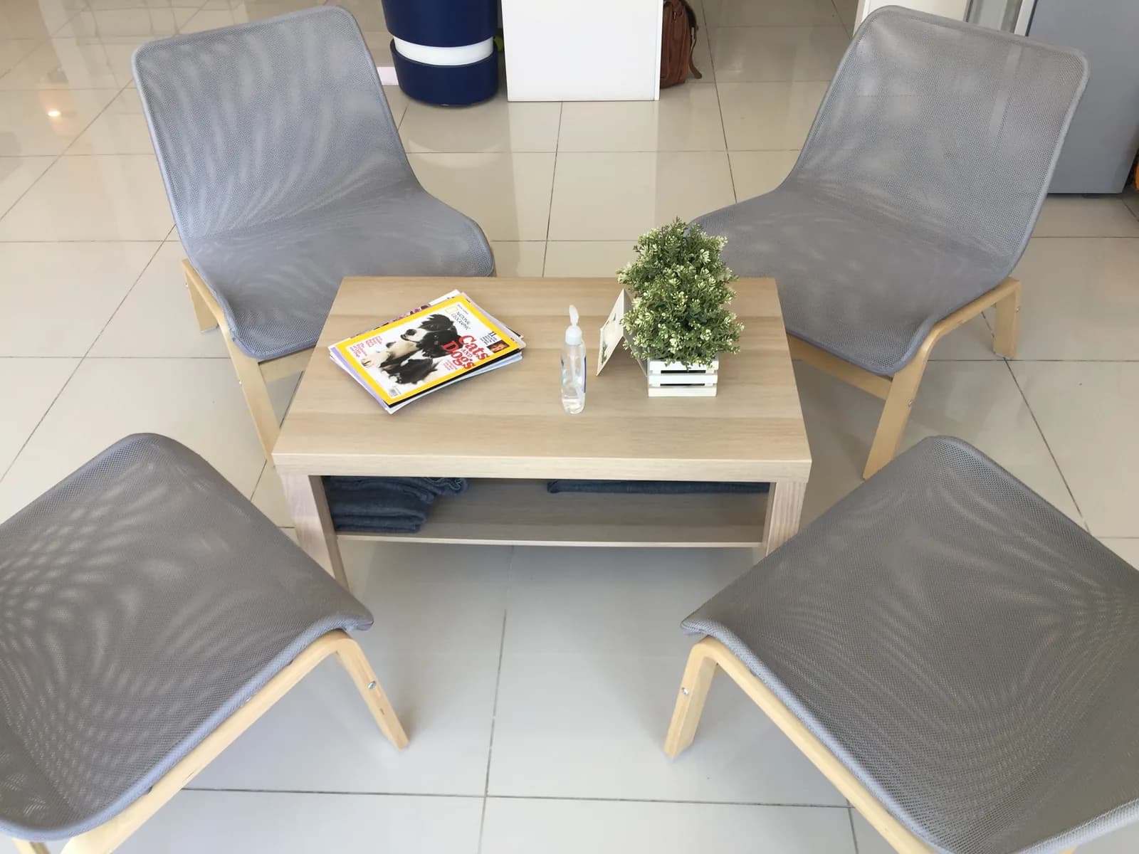 Veterinary clinic waiting room with gray chairs and wooden table