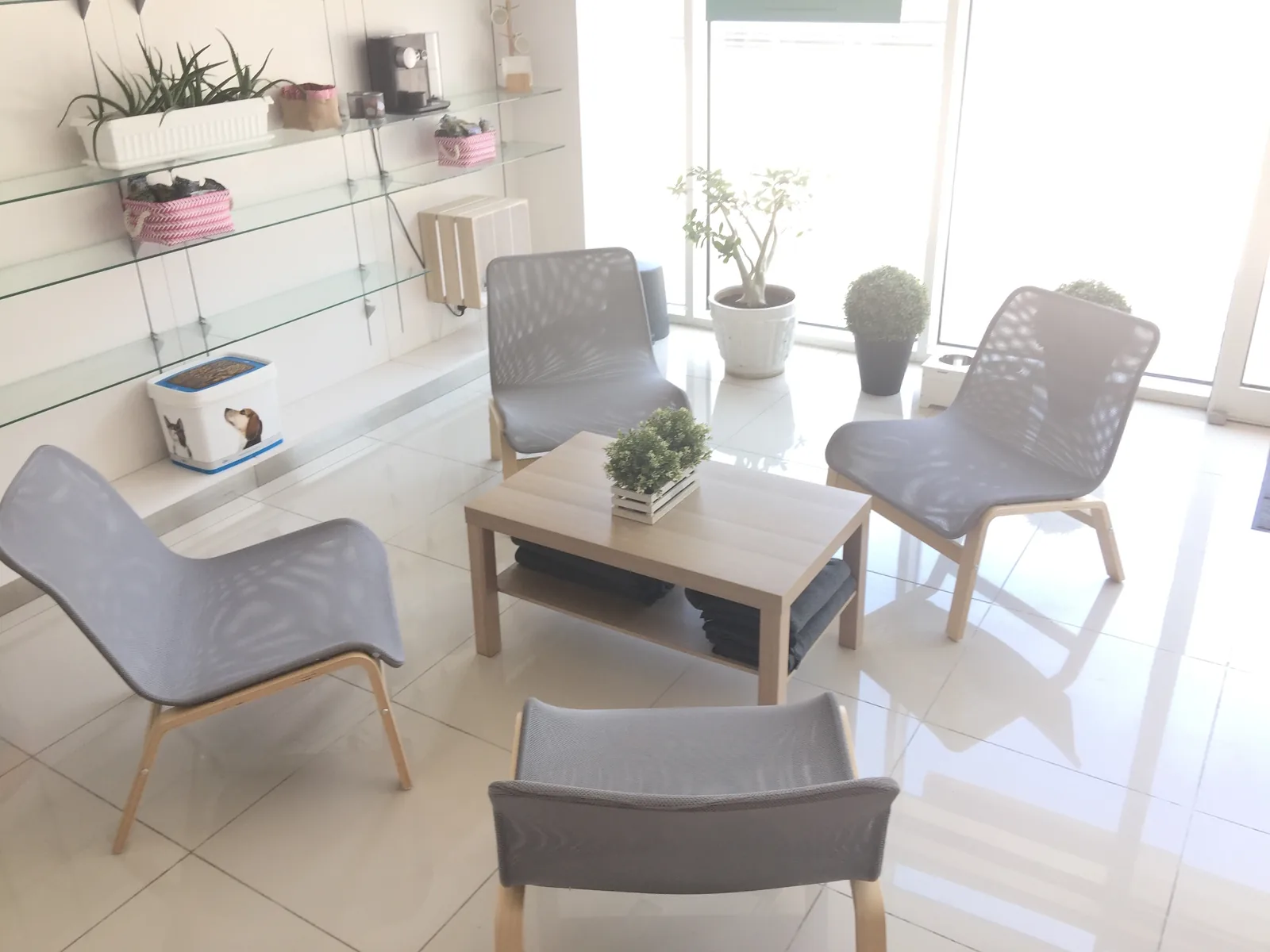 Modern veterinary clinic waiting room with gray chairs, wooden table, potted plants, and glass shelving