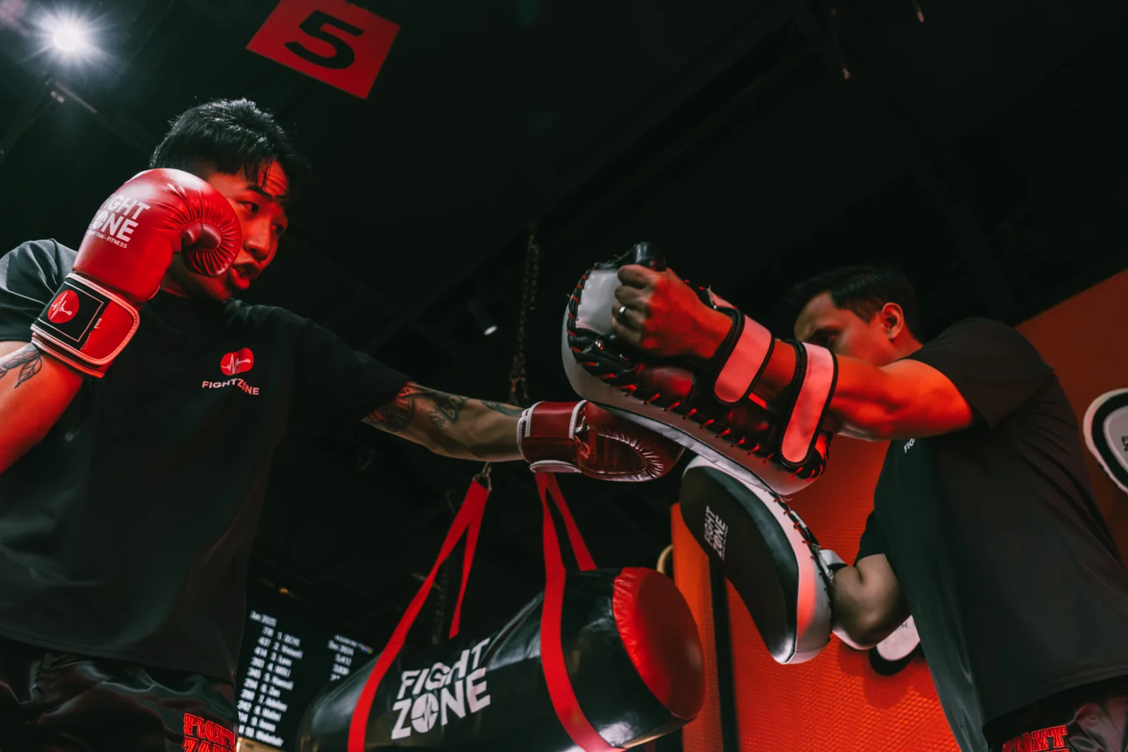 Two boxers sparring in red gloves and gear inside a boxing ring with Fight Zone branding visible.