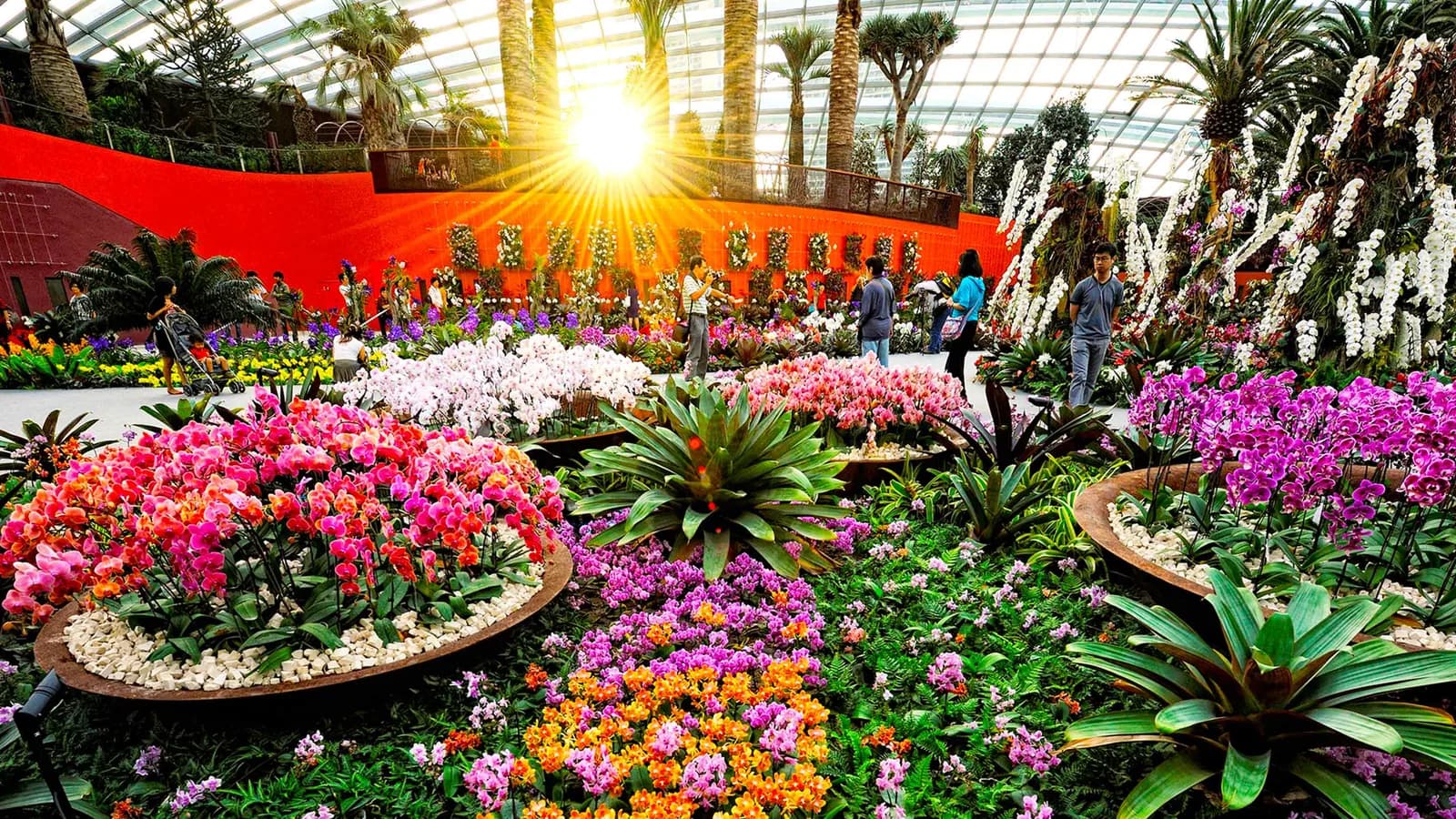 Colorful flower displays in a glass-roofed greenhouse with visitors walking through tropical gardens.