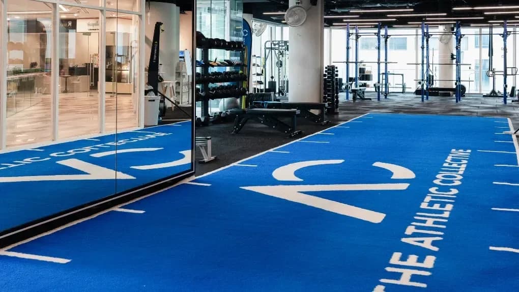 Modern gym interior with blue flooring, mirrors, dumbbells, and training equipment near windows