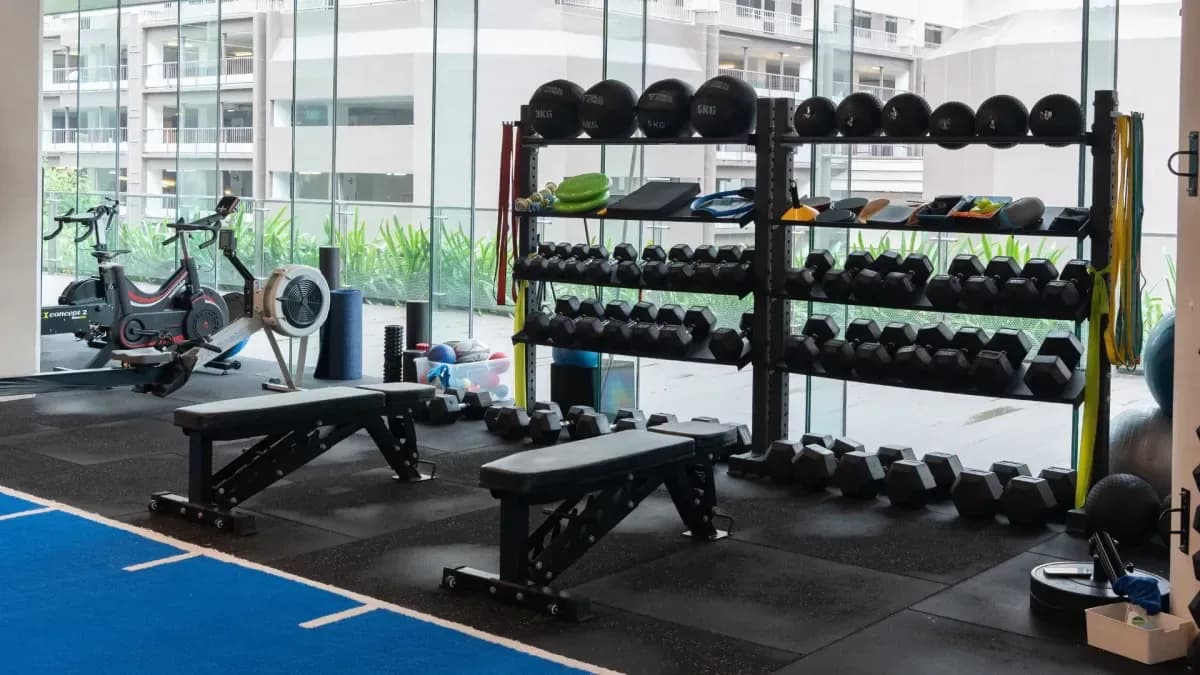 Bright gym interior with dumbbell racks, benches, and exercise equipment near floor-to-ceiling windows