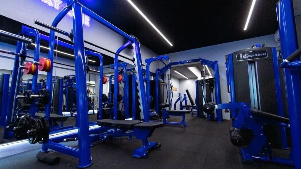 Gym interior with blue strength training equipment and overhead lighting