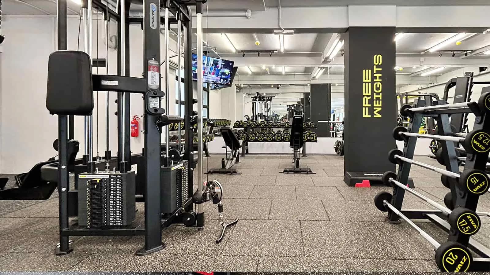 Modern gym interior with strength training machines, dumbbells, and bright lighting